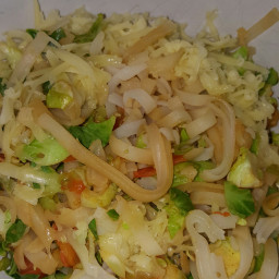 rice-noodles-with-brussel-sprouts-a205650cfca46a60d8419923.jpg
