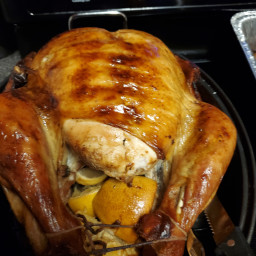 thanksgiving-turkey-9ba9683e4246b790fda7ba4e.jpg