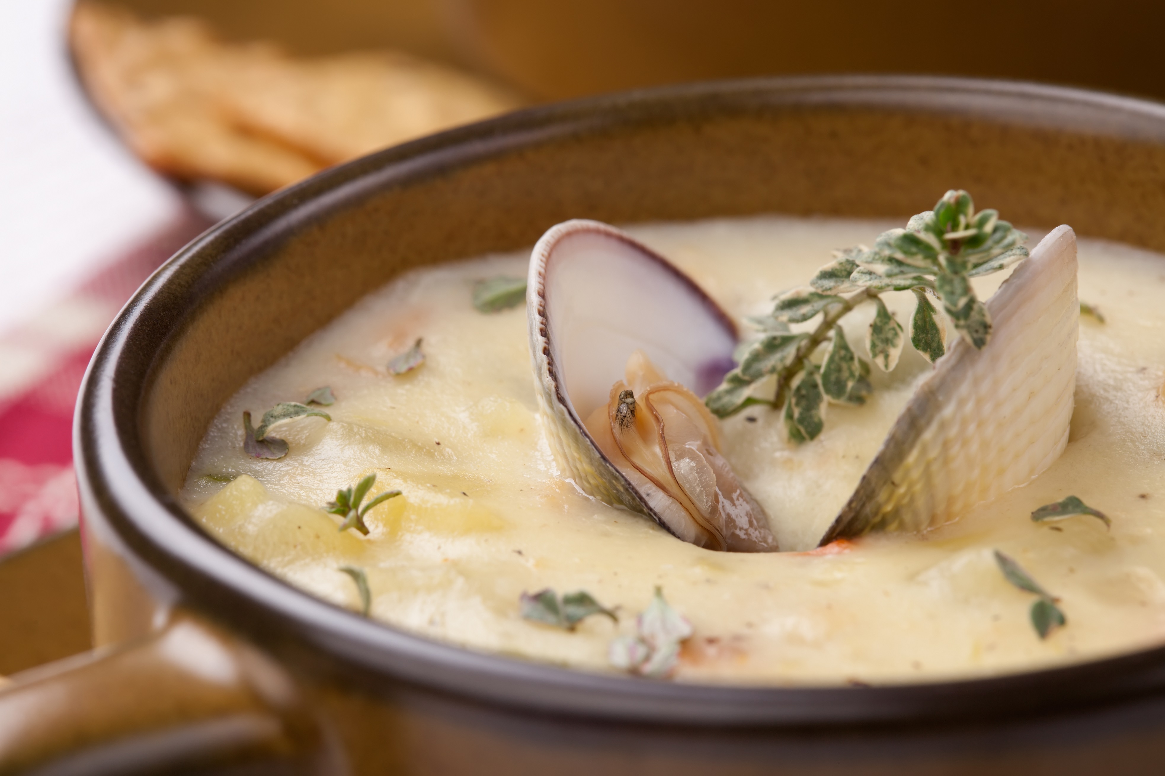 food-poisoning-clam-chowder