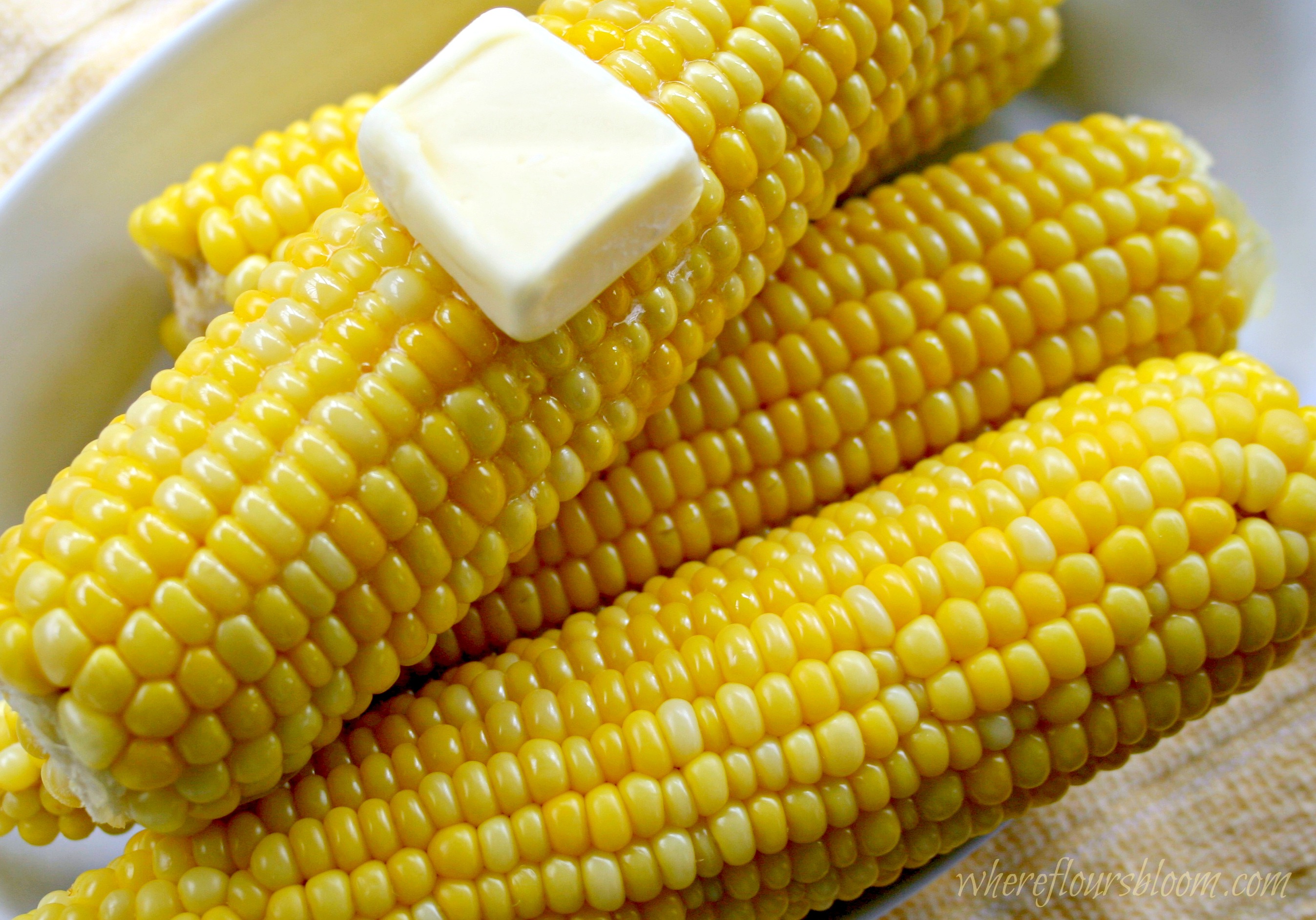 Сладость кукурузу. Початок вареной кукурузы. Кукуруза в початках вареная. Сладкая вареная кукуруза. Кукуруза красивая.