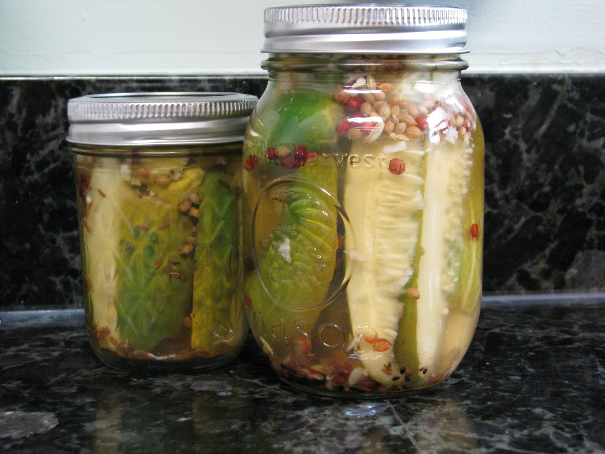 Dill Pickles By The Jar Bigoven 