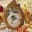 jieshihtzu