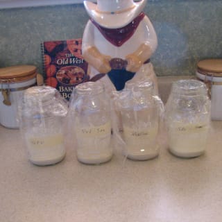 Creating Your Own Sourdough Starter-image