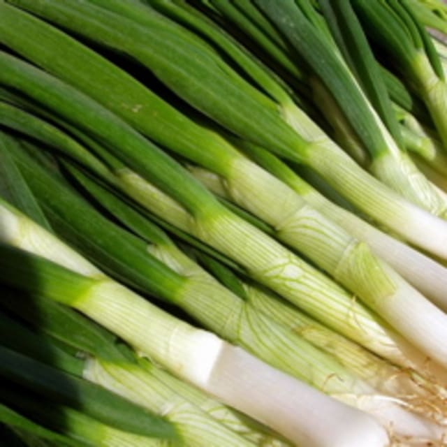 Scallion | BigOven