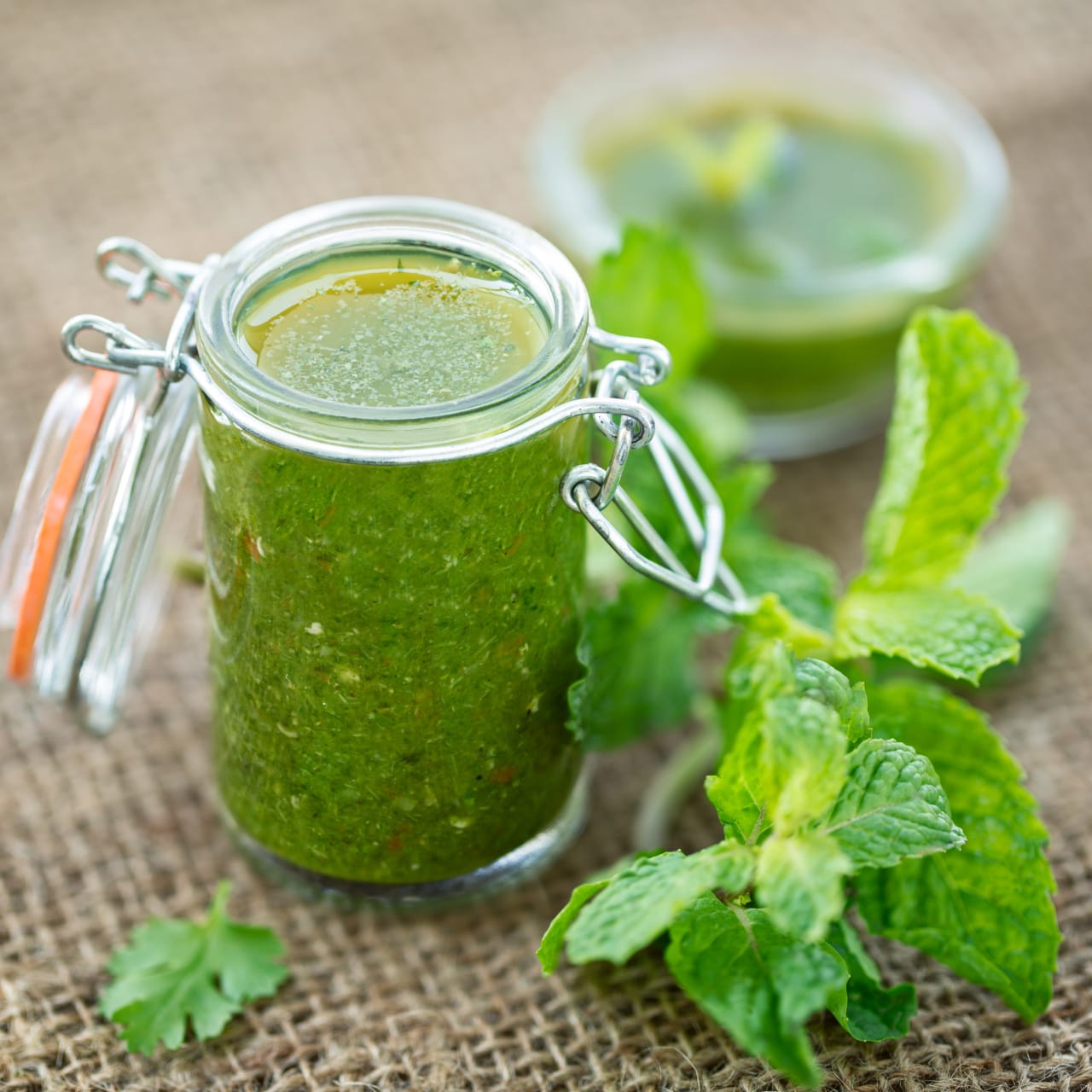 Cilantro-Mint Chutney