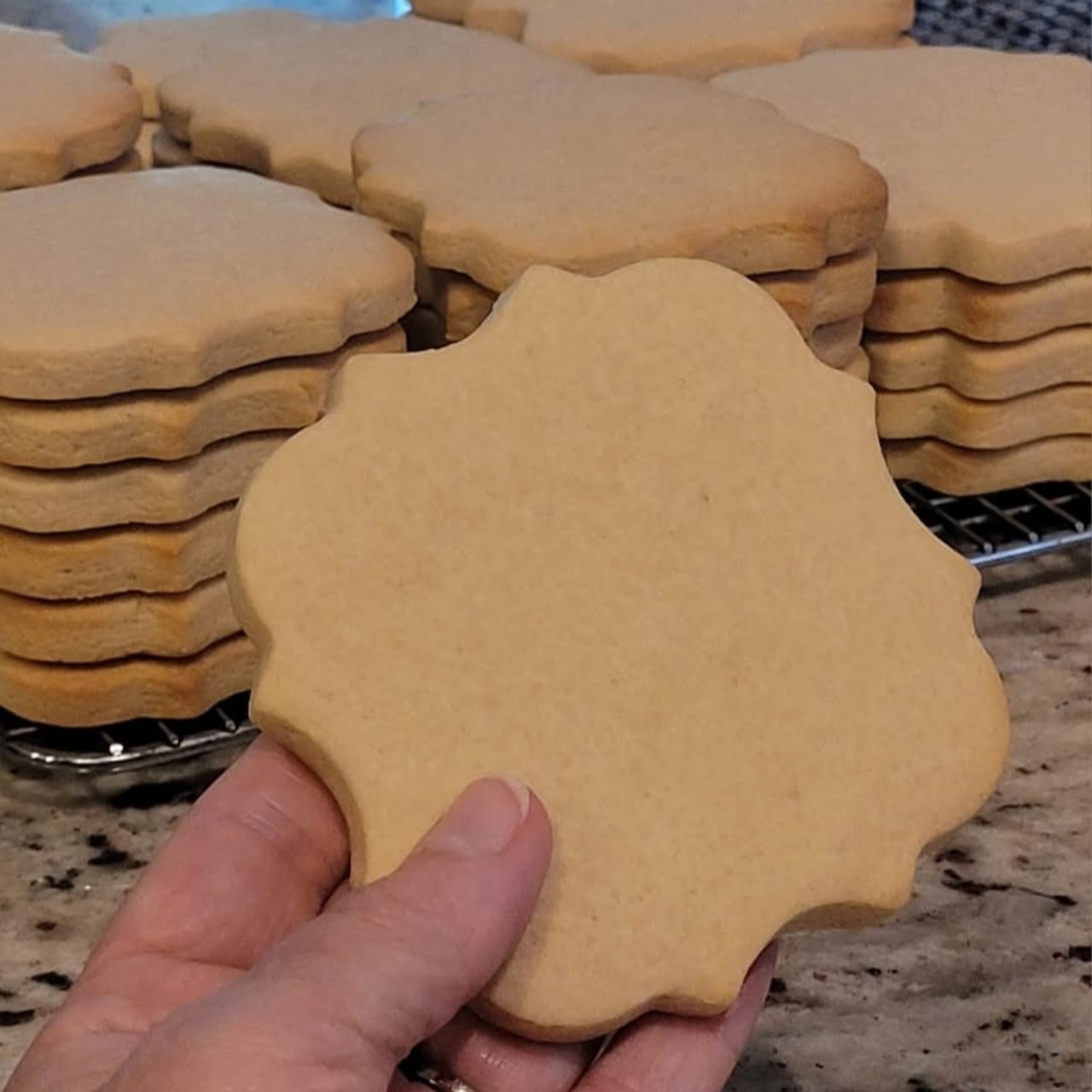 Pam Kennedy Bakes No Chill No Spread Sugar Cookie Dough Recipe