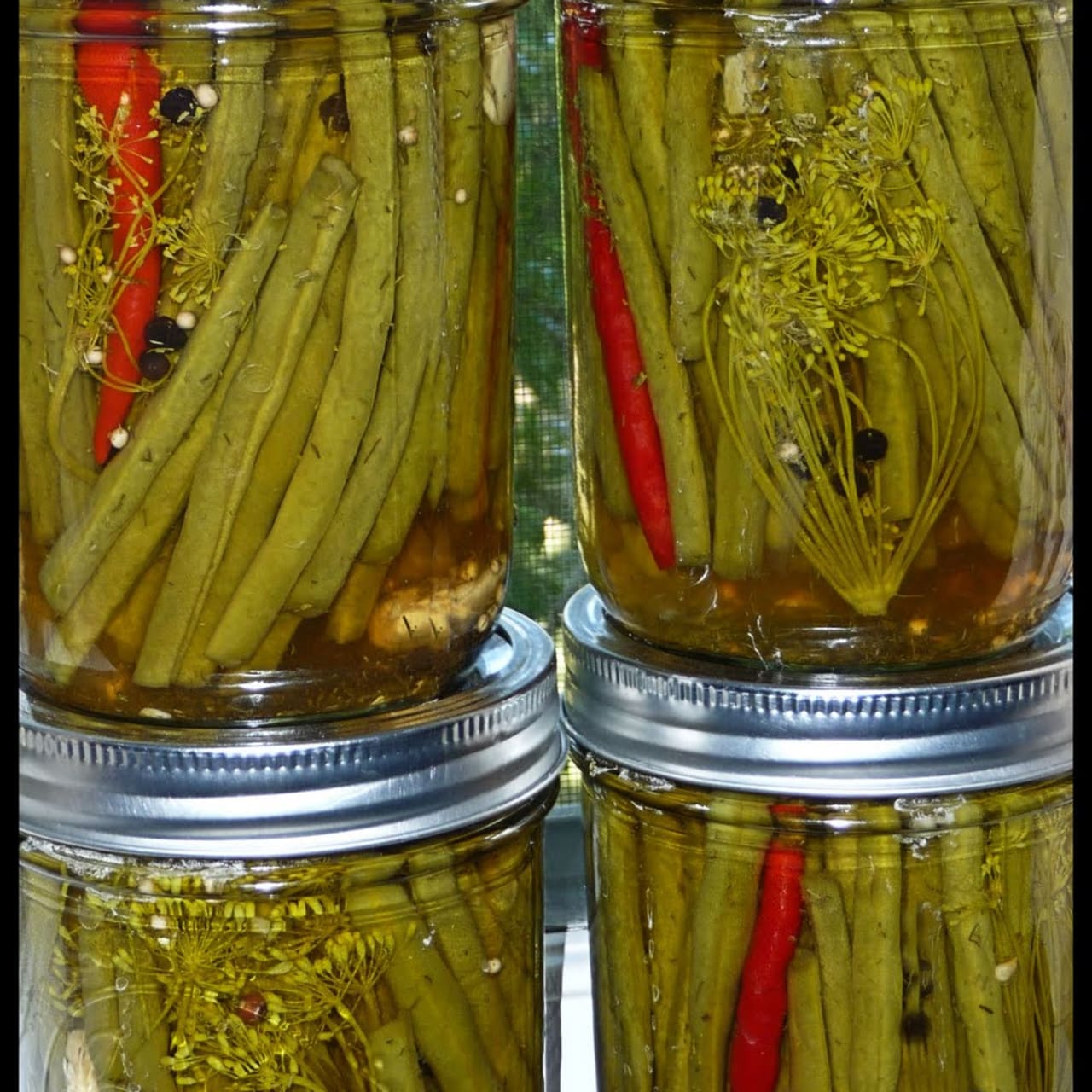 Spicy Pickled Green Beans