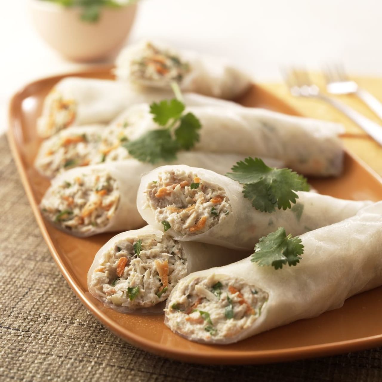 Tuna Rice Paper Wrap