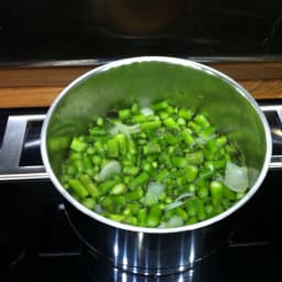 Asparagus Sorbet (Pacojet)