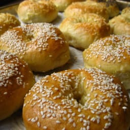 Best Ever Bagels