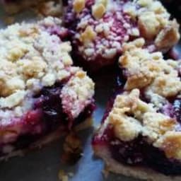 Blueberry Crumble Slice