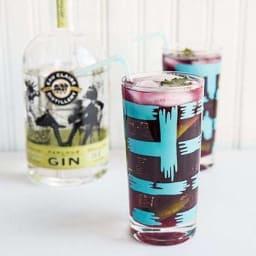 Blueberry Mint Gin Fizz