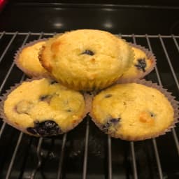 blueberry-muffins-almond-flour-f33e374c300e1ba2809fbe79.jpg