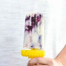 Blueberry Popsicle