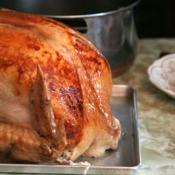 Brined Turkey