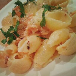 Brownies Salmon Pasta
