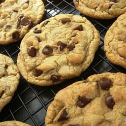 Chewy Chocolate Chip Cookies