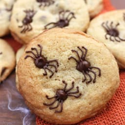 Chocolate Chip Spider Cookies