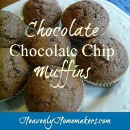 Chocolate Chocolate Chip Muffins