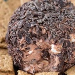 Chocolate S’mores Cheeseball