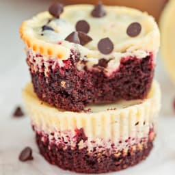 Chocolate Chip Cheesecake or Mini Cheesecakes