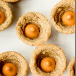 Cookie Butter Pumpkin Bites