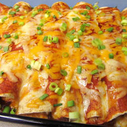 Cream Chicken Cheese Enchiladas