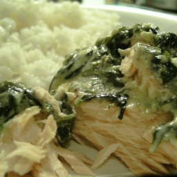 Creamy salmon with baby spinach