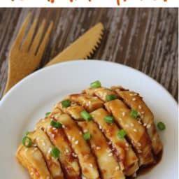 Crockpot Teriyaki Chicken Recipe!