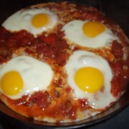 curried eggs and tomatoes