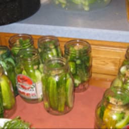 Dill Pickles