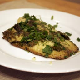 dinner-tonight-ginger-and-cilantro-baked-tilapia-1596030.jpg