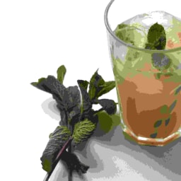 Easy Gin Garden Cocktail Recipe