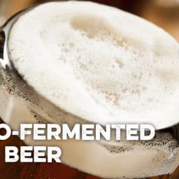 Easy Lacto-Fermented Root Beer
