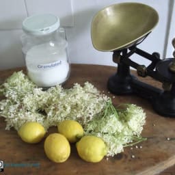 Elderflower Champagne