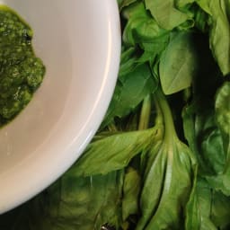 Eleyna's Spinach Basil Pesto