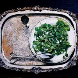 Fava Bean and Pea Salad with Poppy Seed Dressing