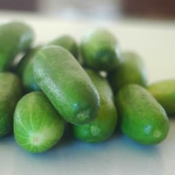 Fermented Pickles: Feed the gut, man!