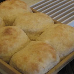 Fluffy Yeast Biscuits