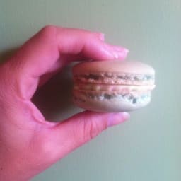 French Macaroons