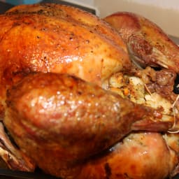 Roast Turkey