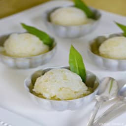 Grapefruit and Lemon Verbena Sorbet