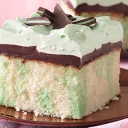 Grasshopper fudge cake