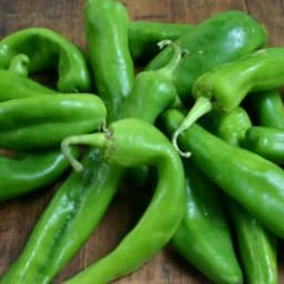 Green Chile Stew