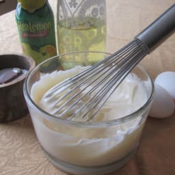 Hellmann's-Best Foods Mayonnaise