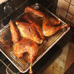 herb-rubbed-crisp-skinned-butt-bdeba7-86c064eead5d65706fbacdff.jpg
