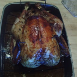 Holiday turkey