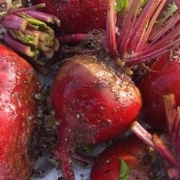 Honey Dijon Roasted Beets