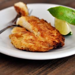 Honey Lime Tilapia