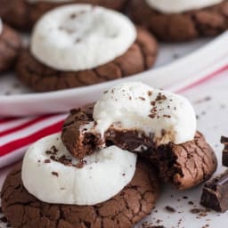 Hot Cocoa Cookies